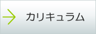 カリキュラム-フィリピン留学